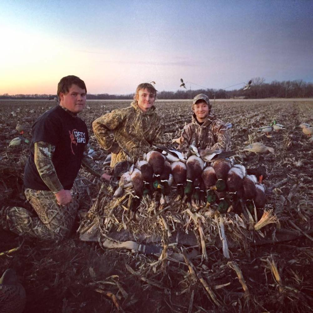 Meet your Posher, Logan